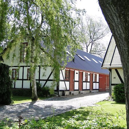 Dyssegaard B&B Skallerup Εξωτερικό φωτογραφία