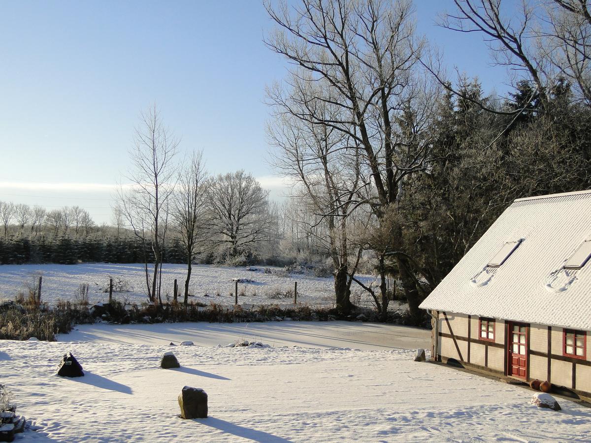 Dyssegaard B&B Skallerup Εξωτερικό φωτογραφία