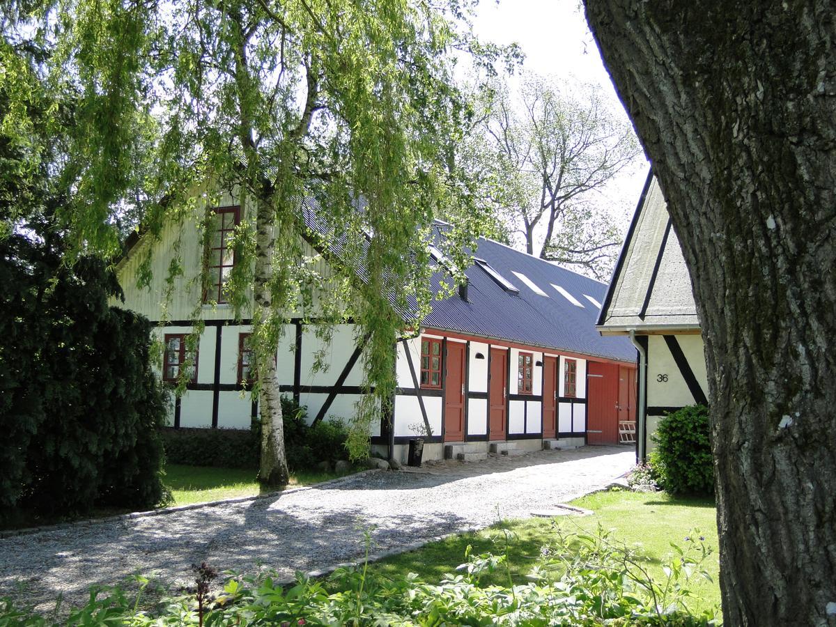 Dyssegaard B&B Skallerup Εξωτερικό φωτογραφία